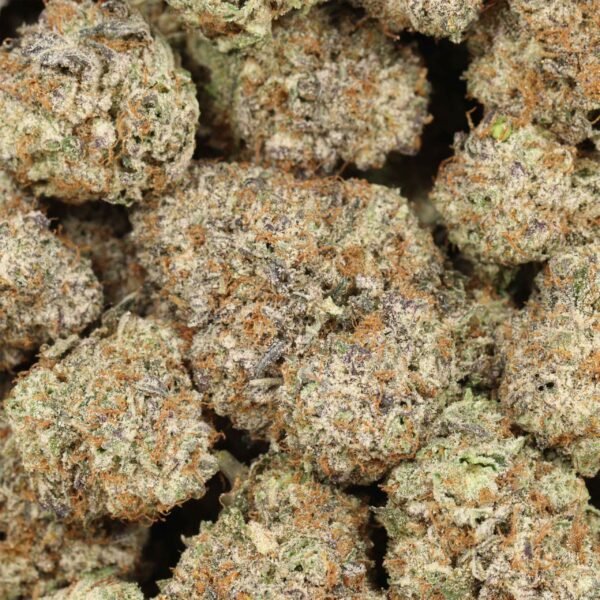 Romulan-w.jpg Romulan