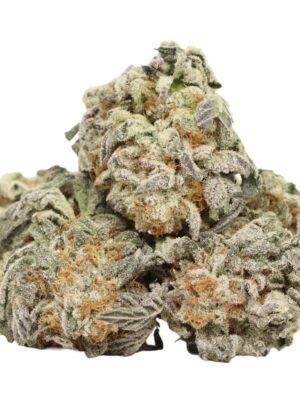 Star-brust-strain.jpg Starburst