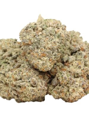 Sugar-cookies-strain.jpg Sugar Cookie
