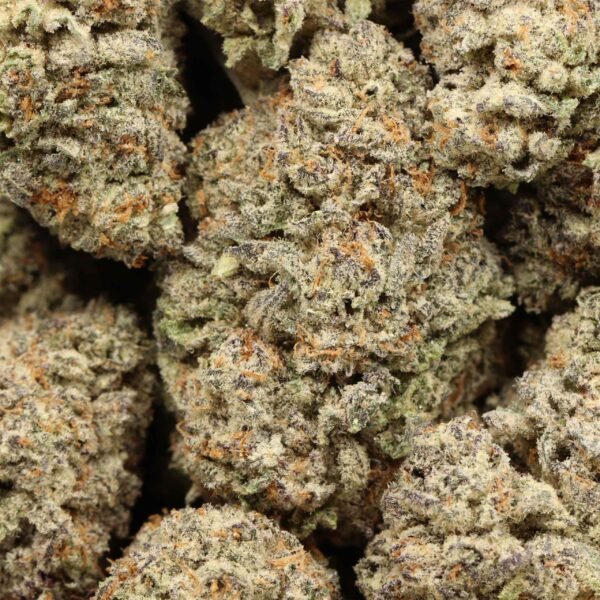 Sugar-cookies-w.jpg Sugar Cookie