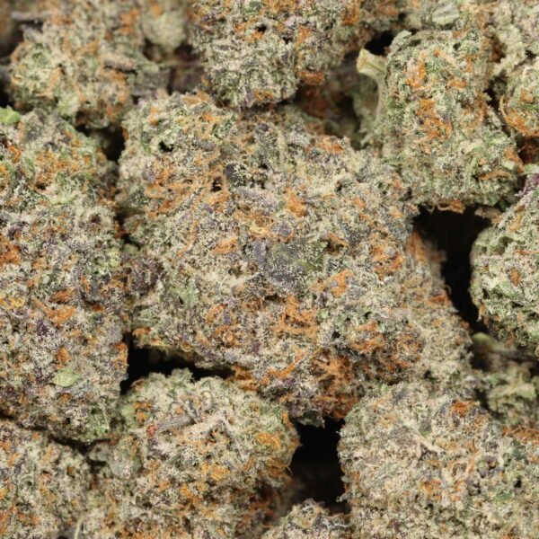 Trunk-Funk-craft-w.jpg Trunk Funks AAAA+ Indica Craft