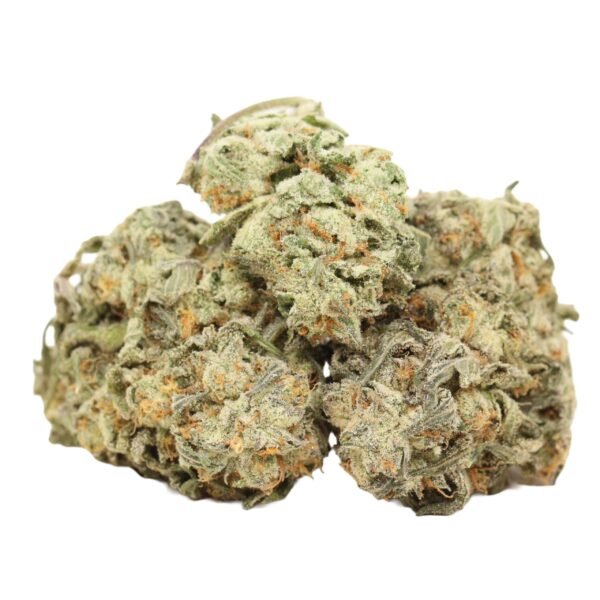 Tuna-god-strain-1.jpg Tuna God