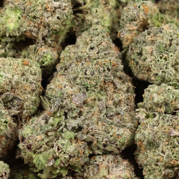 Tyson-og-w.jpg Tyson OG