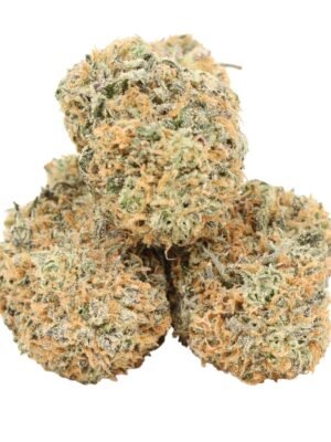 White-truffle-strain.jpg White Truffle