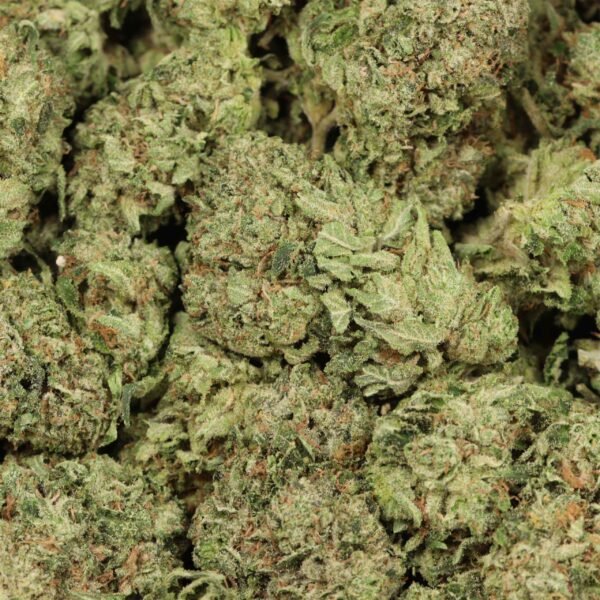 ayahuasca-purple-w.jpg Ayahuasca Purple