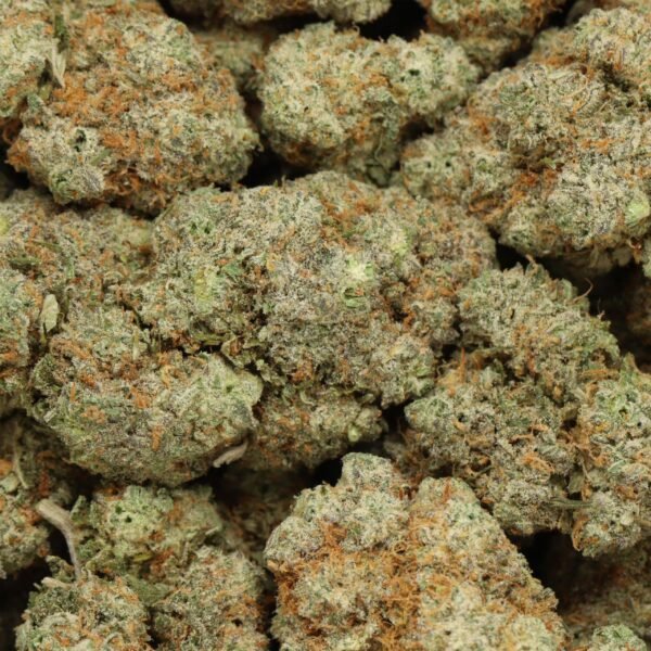 emerald-kush-w.jpg Emerald Kush