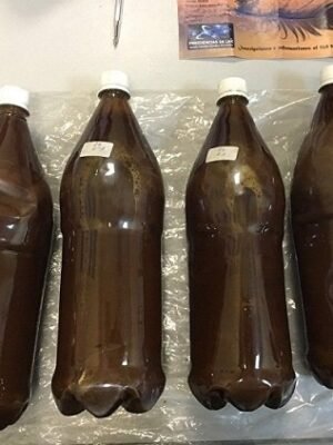 is-Ayahuasca-tea-legal.jpg Ayahuasca Tea