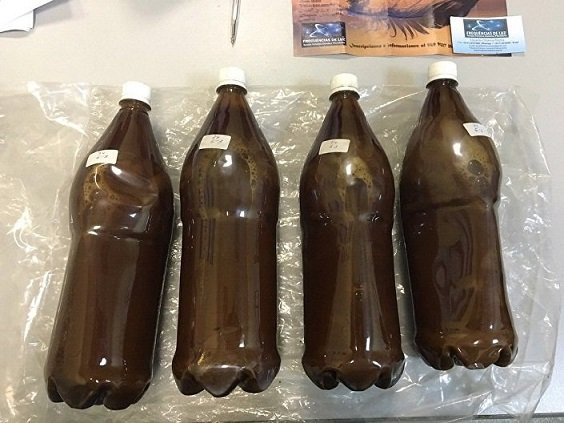 is-Ayahuasca-tea-legal.jpg Ayahuasca Tea