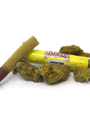 lemon-tree.jpg Dankwoods Lemon Tree Preroll