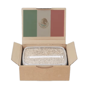 mexican_pi_3.png.png Mondo Grow Kit PES