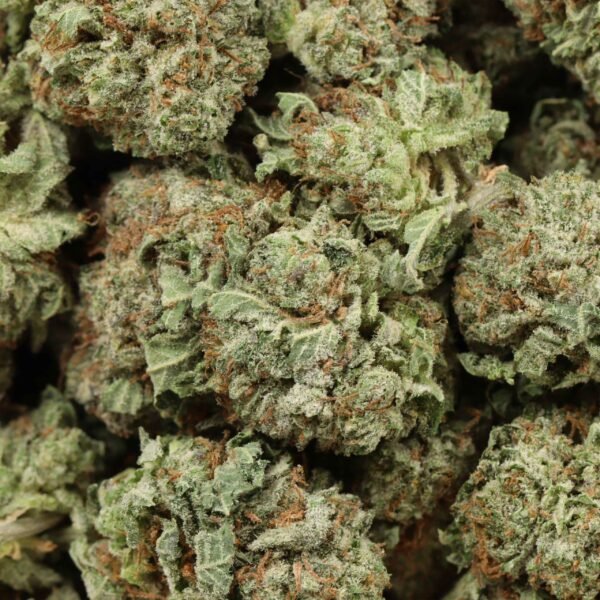 pink-muerte-w.jpg Pink Muerte